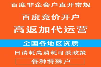 百度SEO推广公司案例研究：助力企业实现品牌提升